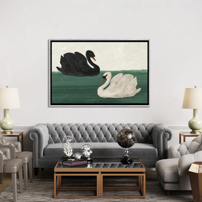 Black Swan White Swan