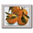 " Citrus Grouping II "-1232563619-1236138036