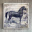 Irena Orlov - Wrapped Canvas Painting-1976375570