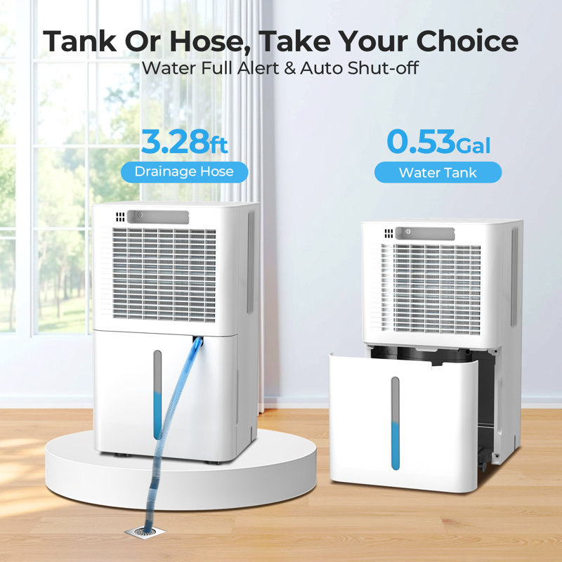 Electactic 24 Pints Dehumidifier, 9 Pints Doe, R290 Refrigerant, Auto Defrost, Quiet ≤38db