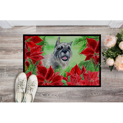 Non-Slip Outdoor Doormat