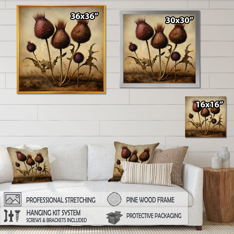 «Retro Thistle Floral Charm 11», art mural chardon, Blanc, H 30 po x l 30 po