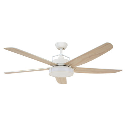 Adelpho 158cm Ceiling Fan with Light Kit