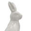 Figurine de lapin Foreside Home & Garden