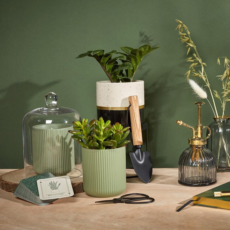 Candle Accessories