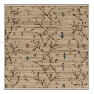 Machine Washable Nature Brown Area Rug