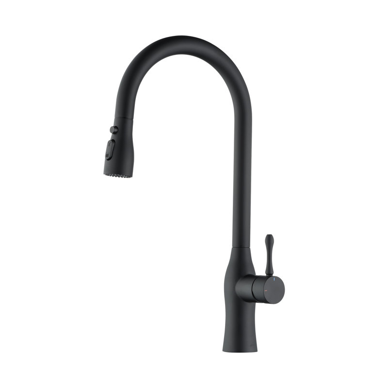 Rainlex Pull Down Kitchen Faucet, Matte Black