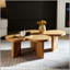 Table basse moderne en panneau de fibres à densité moyenne Butterfly, idéale pour les salons, les chambres à coucher et les bureaux-133420039