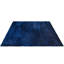 Cataliyah Shag Indoor / Outdoor Area Rug-662717026