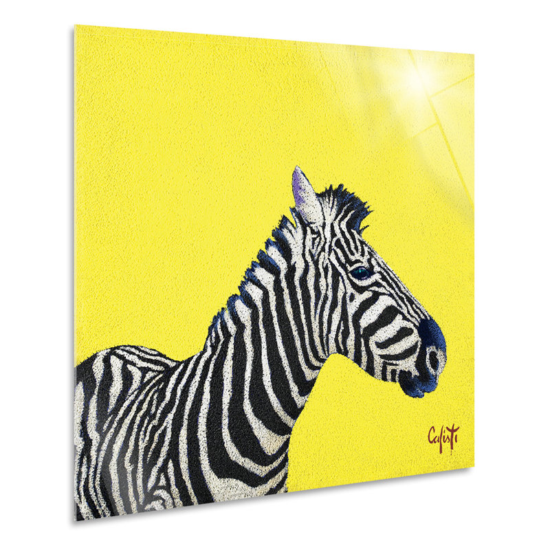 Zebra by Stefano Calisti - No Frame Print, Plastic/Acrylic, 70cm H  x  70cm W