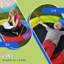 EvoNet Swing Set with