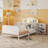 Metal Platform Bed Frame with Light，2  Pull Out Storage Shelves-896378218