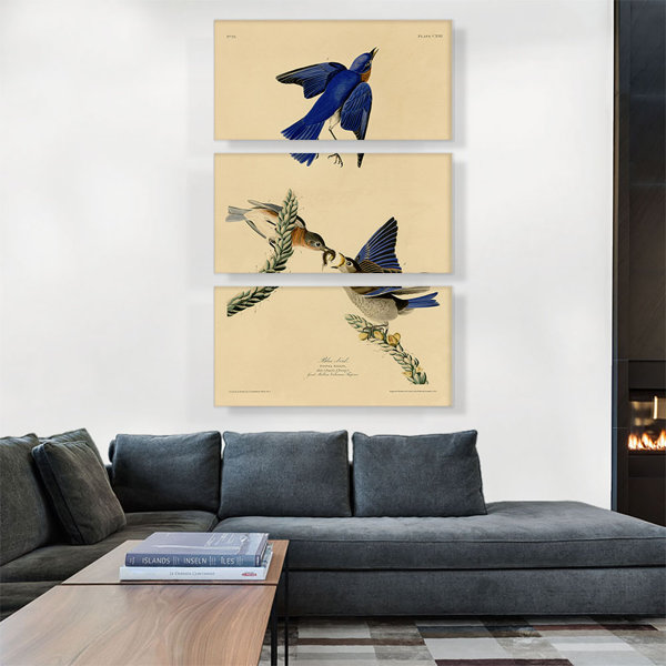 ARTCANVAS Blue Bird On Canvas 3 Pieces by James Audubon Painting | Wayfair