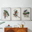Gould Tropical Birds I - Toile tendue avec châssis sur mesure - 3 pièces-451105528-451105531