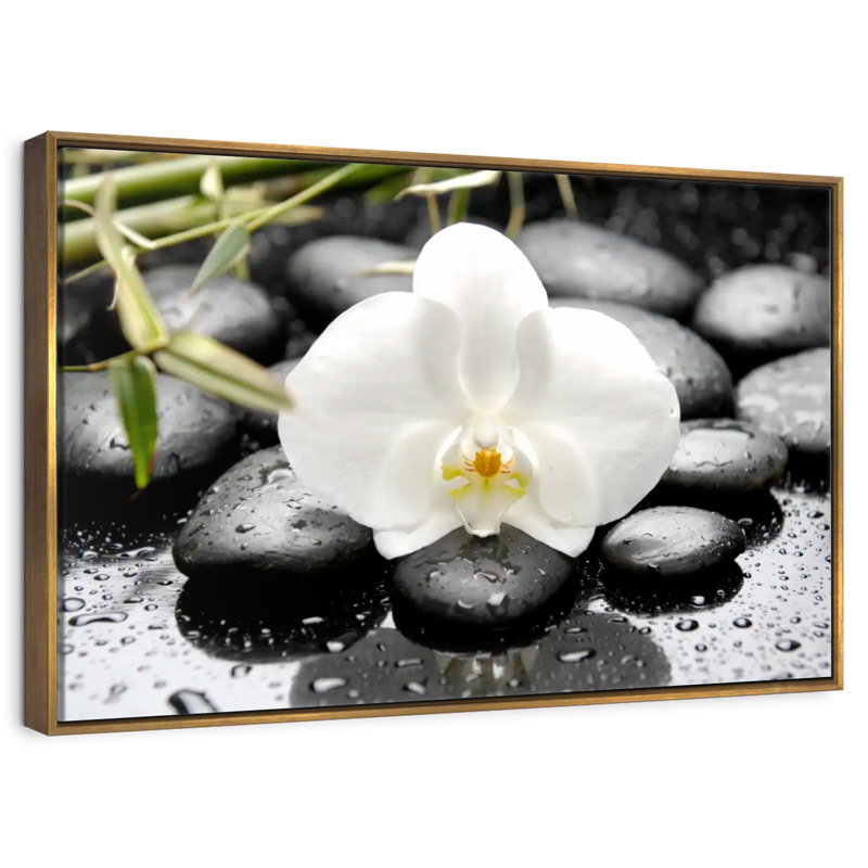 Orchidée blanche, Cadre flottant doré, 13 po x 9 po