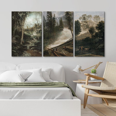 3 pièces rustiques, forêt, pin, forêt, pré, nature, désert