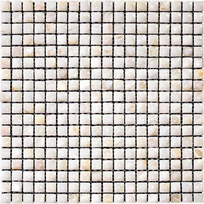 Carreau de mosaïque en coquille naturelle texturée 12 po x 12 po