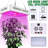 Winado Grow Light