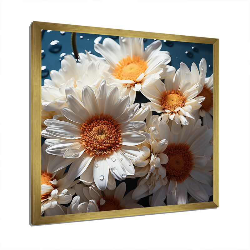 " White Daisy Bloom Elegance IV ", Gold Single Picture Framed, 36" H x 36" W x 1.5" D