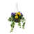 Yellow/Purple