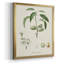 Toile encadrée de qualité supérieure antique avec amande botanique I - prête à être accrochée-2104528118-2104528117
