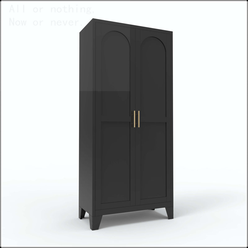 Armoire de rangement en métal 61 po avec 2 portes galbées, Noir