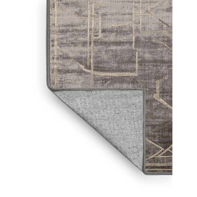 Machine Washable Gray Area Rug