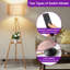 160cm Tripod Floor Lamp-1041632753