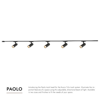 Paolo 5 Light (2-in) Black dimmable 3000K LED Trilo Track Ceiling Kit