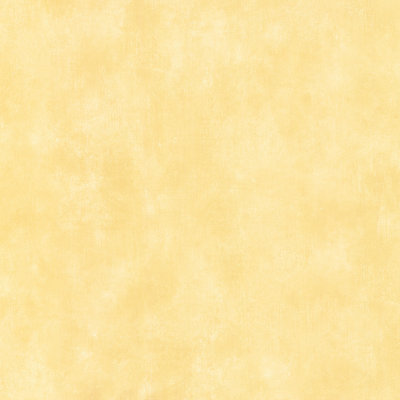 Evas 10m x 52.8cm Matte Paste the Wall Wallpaper Roll