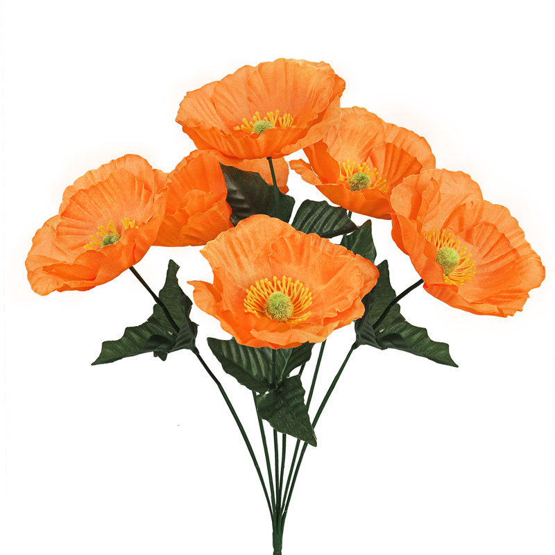 Buisson de pavot artificiel, Orange
