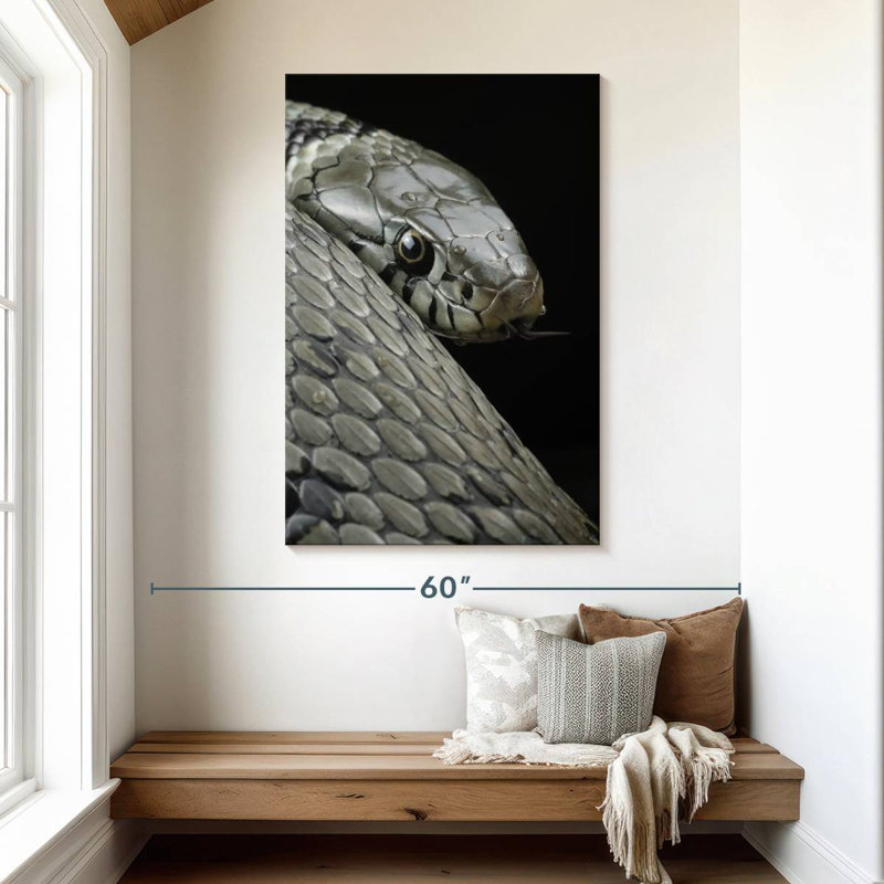 Brampt Necklace Snake, 48" H x 32" W