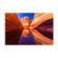 Art sur toile «bolologic» par Eunice bolognaise-109222627