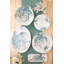 Tartaruga Terra Bianca Decorative Tray