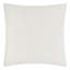  Housse de coussin en velours appliqué