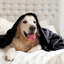 Plush Mink Fleece Blanket – Ultra-Soft, Lightweight Throw For All Seasons-113714322-113714318