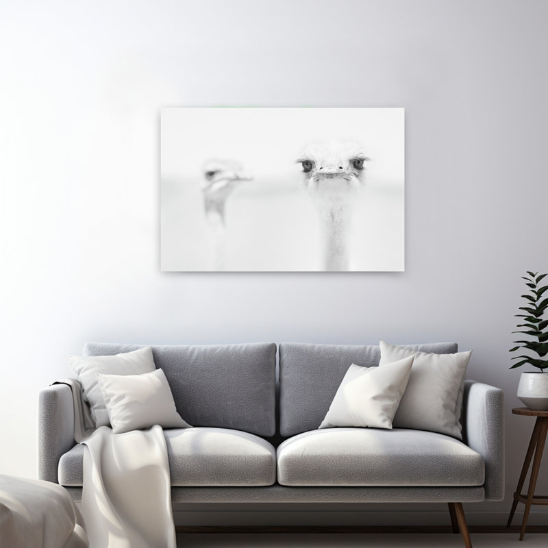 Curious Ostrich Portrait Minimalist Bird Wall Art Print by Carlo Tonti - Wrapped Canvas Print, 81.28cm H x 121.92cm W