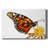 Wings I-Gallery Wrapped Canvas-1629239701