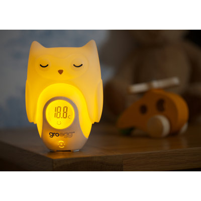 Egg Orla the Owl Shell Night Light