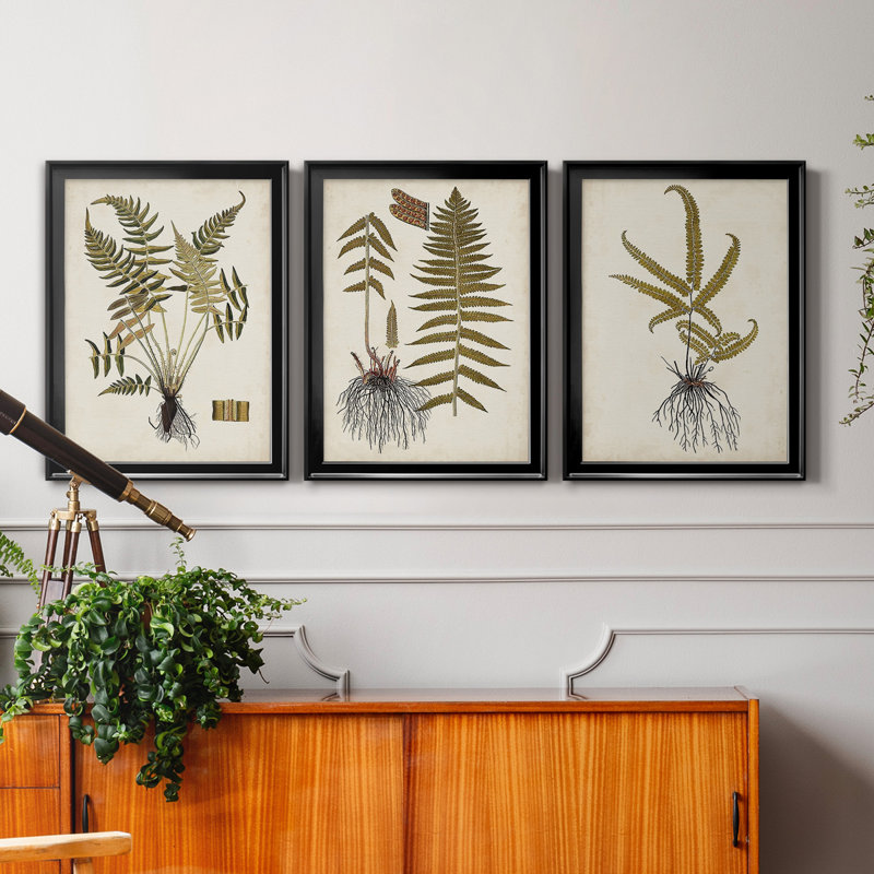 Fern Botanical IV - Ensemble de 3 peintures sur toile encadrées, H 26,5 po x l 109,5 po x P 1,5 po, Toile avec cadre noir