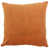 Gingembre sélectionné