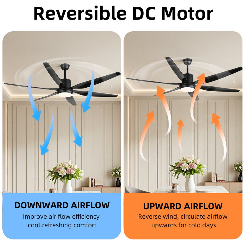 66" Modern Ceiling Fan with LED Light, 6 ABS Blades, DC Motor, Acrylic Shade, Remote Control for Living Room, Dining Room, Large Bedroom
