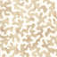 Coralcoast-1002812167