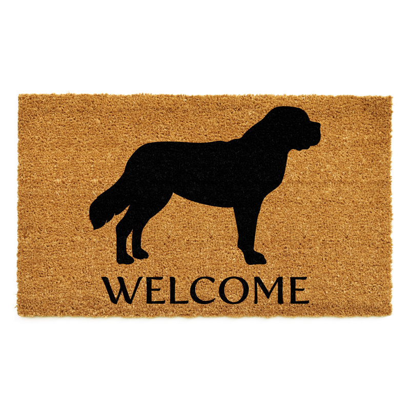 Tapis d'entrée antidérapant St. Berbard, l 17 po x L 29 po