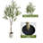 Artificial Olive Tree in Pot 5FT/6FT/7FT