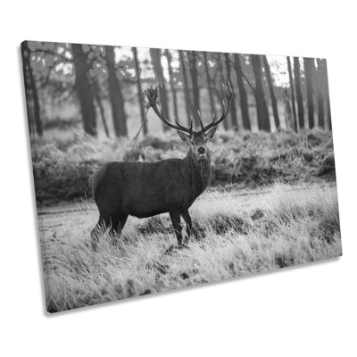 Wild Stag Deer Forest B&W - Wrapped Canvas Print