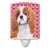 Brun cavalier Spaniel sélectionné