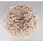 Lily 4 Light Chandelier-107971774
