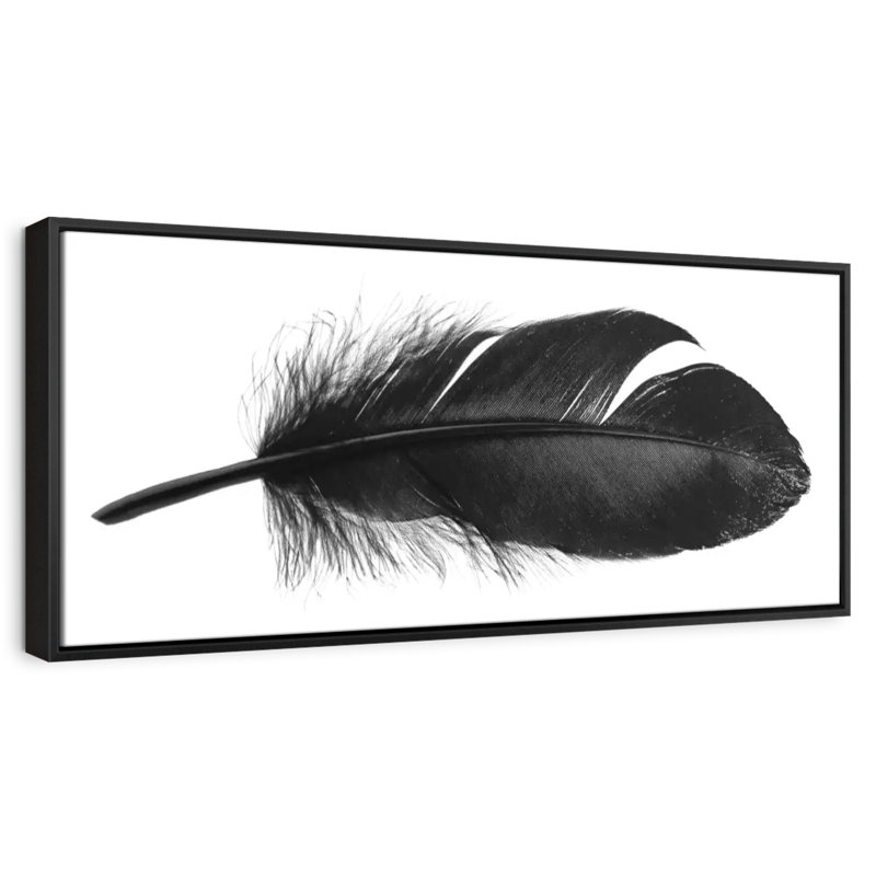 Plume foncée, 37 po x 13 po, Cadre flottant noir