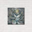 «Bloom II» par Jeanette Vertentes-1445737992
